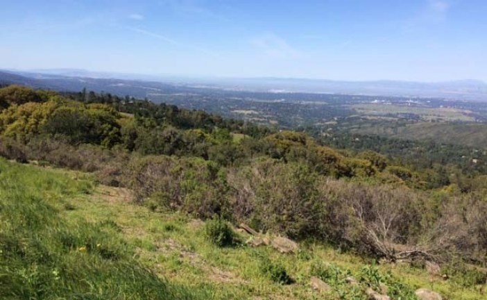 Vista Point: The Heavens Above San Francisco Bay