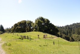 Grizzly Flat: Why so much Open Space?