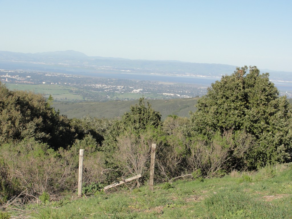 The view toward San Francisco Bay from the vista point, 2015. Photo: © Janet Schwind