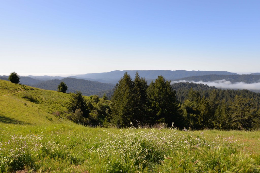 The view from Skyline Ridge.
