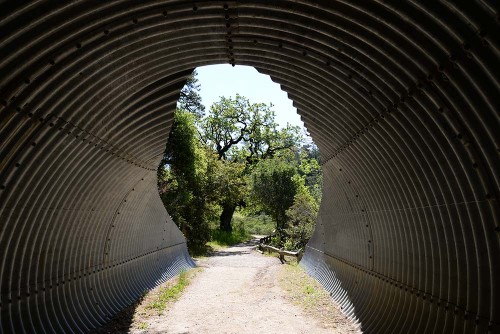The tunnel that leads to Alpine Pond.