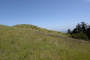 Windy Hill: Open in the Hills of San Mateo County