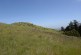 Windy Hill: Open in the Hills of San Mateo County