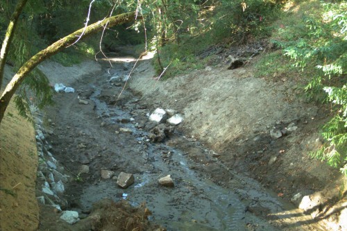 Immediately after removal of dam on Branciforte Creek. Photo courtesy and © of Resource Conservation District of Santa Cruz County. 