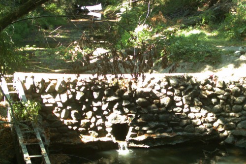  Dam on Branciforte Creek before removal. Photo courtesy of Resource Conservation District of Santa Cruz County.