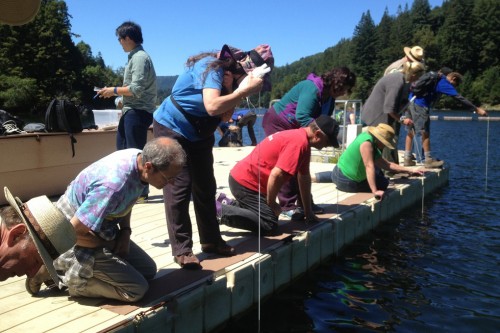 Volunteers measure the transparency of the water at Loch Lomond at the Great American Secchi Dip In in 2015. Transparency is one measure of water quality. Photo courtesy and © of Coastal Watershed Council.