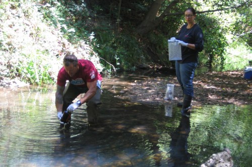 Coastal Watershed Council staff and volunteers collecting water samples from Branciforte Creek, a tributary of the San Lorenzo. Photo courtesy and ©of the Coastal Watershed Council.