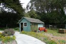 1906 Quake Shacks that Won’t Quit