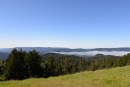 Sempervirens Point