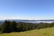 Sempervirens Point