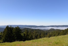 Sempervirens Point