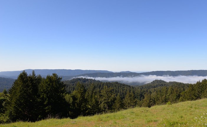 Sempervirens Point