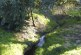 Bound for the Sea: Pilkington Creek