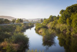 Living on an Urban River: Water Quality