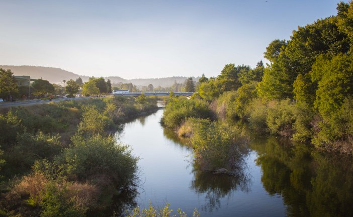 Living on an Urban River: Water Quality