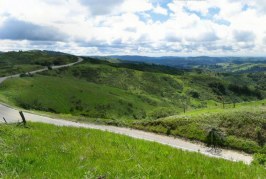 The Making of Skyline Boulevard
