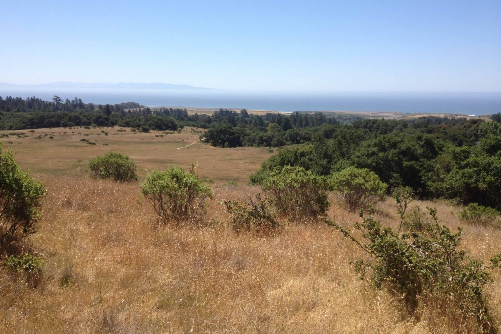 The Awaswas used a variety of methods, including fire, to maintain the Santa Cruz landscape. Image courtesy of Molly Lautamo.