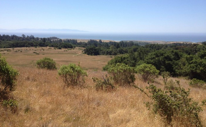 Slash and Burn: Native Garden Tending