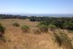 Slash and Burn: Native Garden Tending