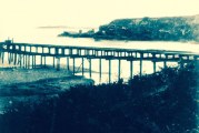 Waddell’s Wharf: Ordeals of Shipping Lumber from Año Nuevo Bay