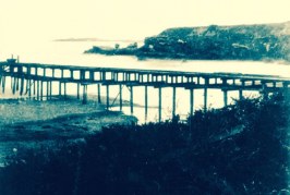 Waddell’s Wharf: Ordeals of Shipping Lumber from Año Nuevo Bay