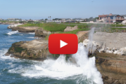 The Wave Motor: Still Pumping