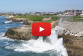 The Wave Motor: Still Pumping