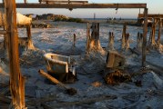 Salton Sea: Bizarre in Every Way