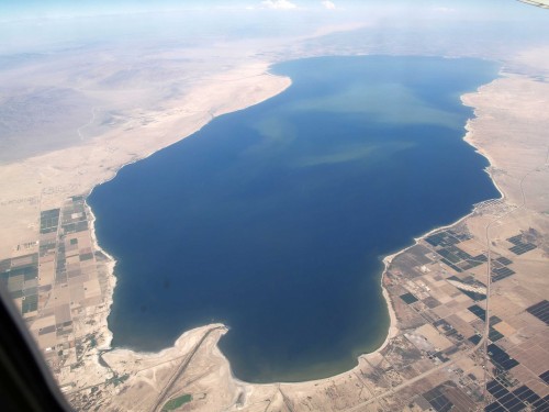 A combination of the surrounding farm's runoff and the Whitewater River, seen in the bottom left, feed the Salton Sea. Photo: Phil Konstantin CC BY 2.0