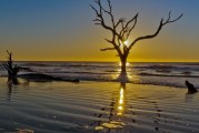 Boneyard Beaches of the Atlantic Coast