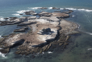 The Lighthouse at Año Nuevo Island: Shipwrecks and Sea Lions