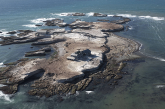 The Lighthouse at Año Nuevo Island: Shipwrecks and Sea Lions