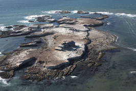 The Lighthouse at Año Nuevo Island: Shipwrecks and Sea Lions