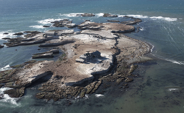 The Lighthouse at Año Nuevo Island: Shipwrecks and Sea Lions