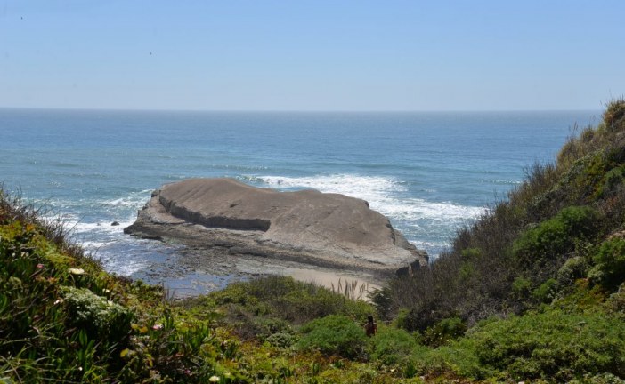 When Money Washed up on the Shores of Greyhound Rock