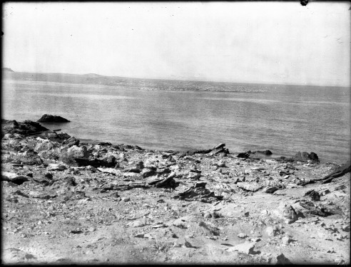 The diversion ended up creating habitat for thousands of pelicans seen in the background of this photo taken in 1910. Photo: Pierce, C.C Public Domain
