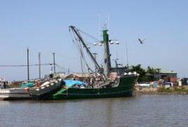 The Evolution of a Monterey Bay Fisherman