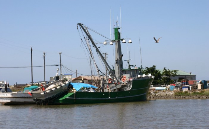 The Evolution of a Monterey Bay Fisherman