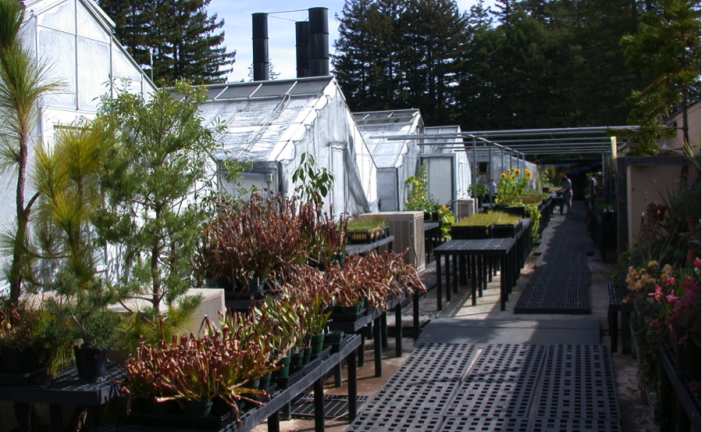 UCSC’s Glass Gardens in the Sky