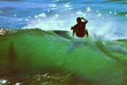 Surfing over Kelp Forests at Cove Beach