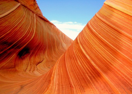 The wave close up. Photo: Peter Fitzgerald