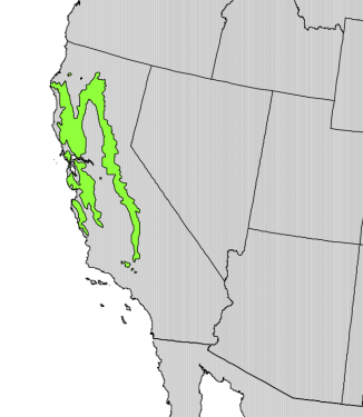 Range of the California buckeye Aesculus californica which is endemic to California. Image: USGS