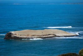 Greyhound Rock: Where’s the Hound?