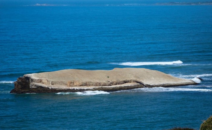Greyhound Rock: Where’s the Hound?