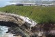 Restoring Native Plants Helps Ocean Birds