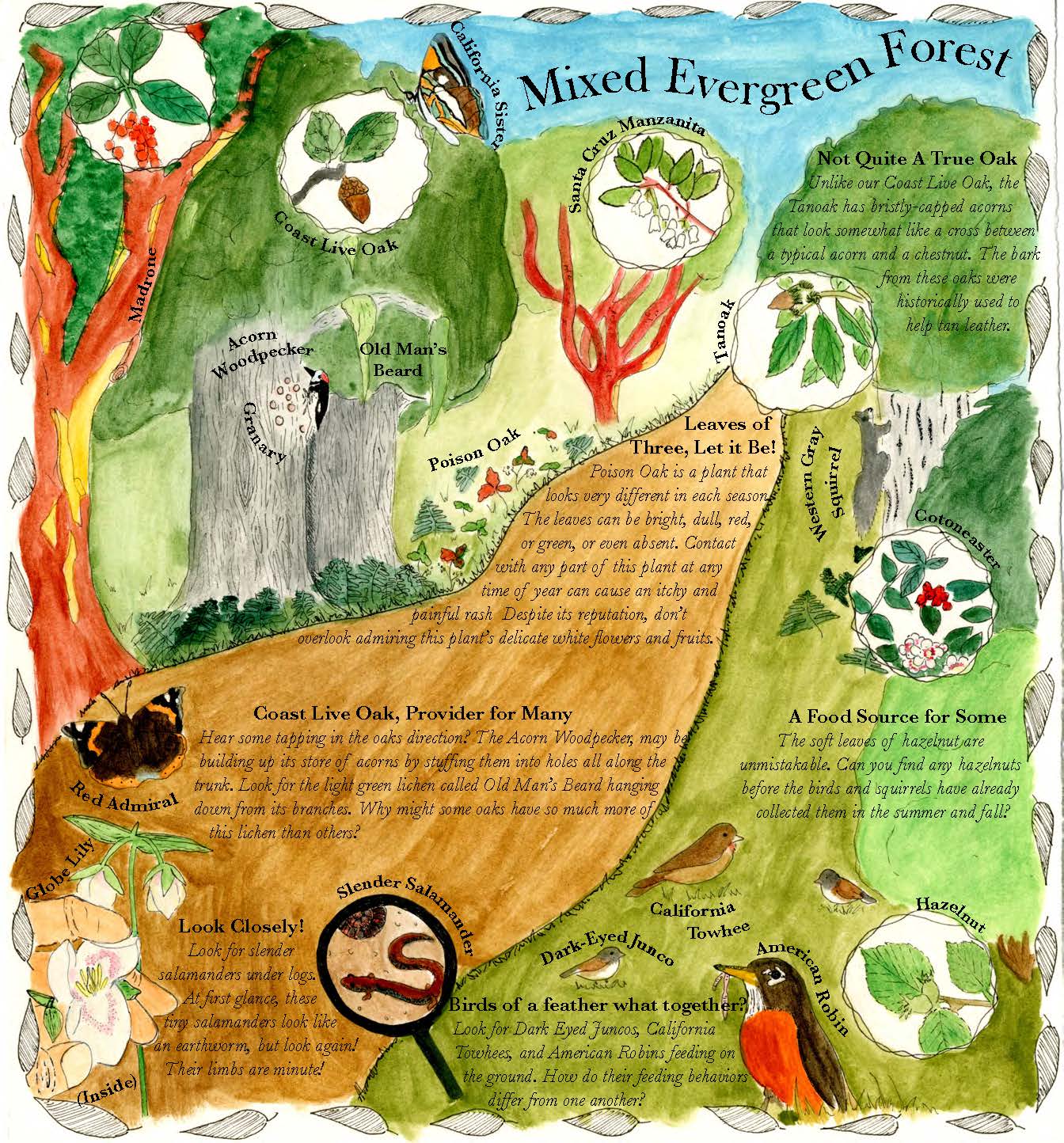 PogonipFieldGuide_JBGimage_Page_5