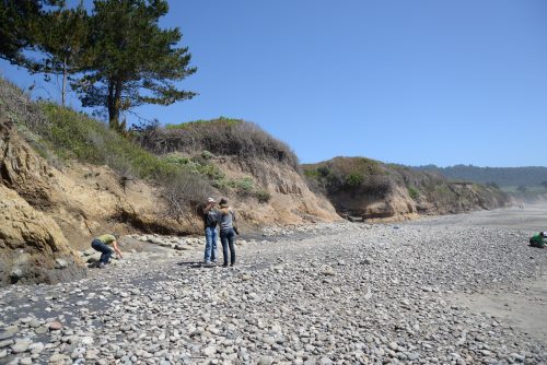 In the center of the photo where you can see a wooden step is where Waddell's Wharf went out to the sea. Photo: Julia Gaudinski/ Mobile Ranger 