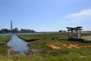 Elkhorn Slough: Interface Between Land and Sea