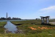 Elkhorn Slough: Interface Between Land and Sea