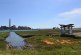 Elkhorn Slough: Interface Between Land and Sea